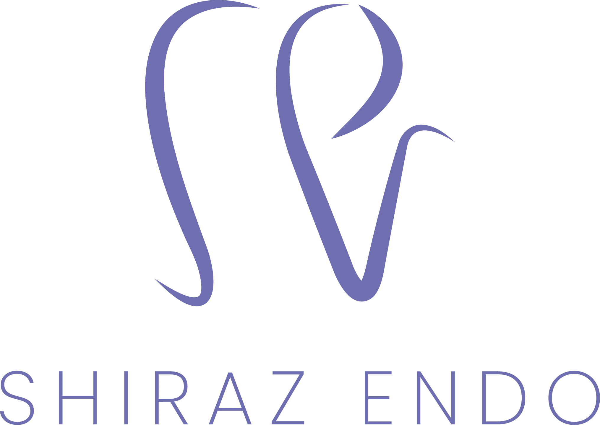 Shiraz Endo